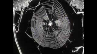 The Young Gods - Skinflowers