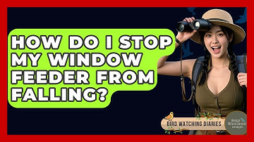 How Do I Stop My Window Feeder From Falling? - Bird Watching Diaries