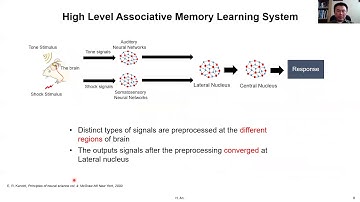 2020 HCC day: Realizing Associative Memory Learning through Neuromorphic Circuits