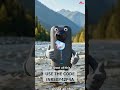 Unlock the impossible with the Insta360 X3, the ultimate 5.7K 360° powerhouse