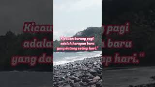 Kicau Burung Pagi Hari pancingan nature kicau ombak birds beach suara pantai murai burung