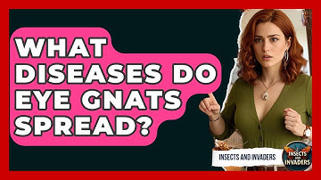 What Diseases Do Eye Gnats Spread? - Insects and Invaders