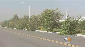 Gusty Winds Turn Deadly, Cause Power Outages And Bring Down Trees Across SoCal