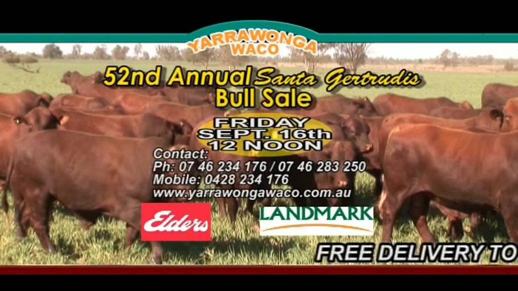 YARRAWONGA WACO BULL SALE TV COMMERCIAL YouTube
