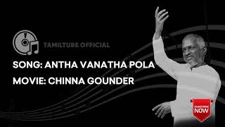 Antha Vanatha Pola High Quality Audio Song | Chinna Gounder | Vijayakanth |  Suganya | Ilayaraja