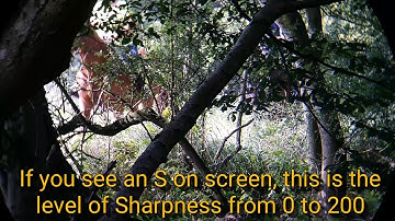 Sharpness Examples from PowerDirector Android App 52