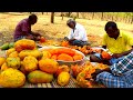PAPAYA JUICE | 100 KG Papaya Fruits Cutting | Making Fruit Juice in Village | Healthy Drink