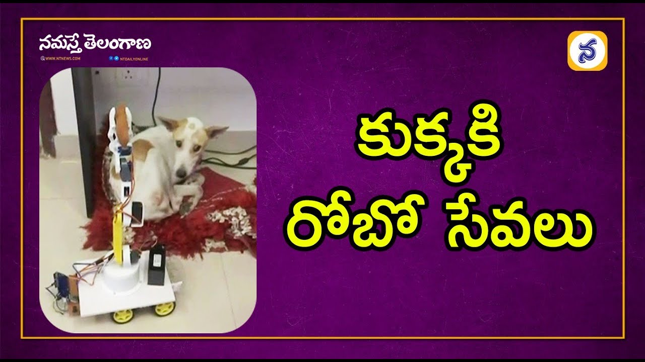 ‘కుక్క’కి రోబో సేవలు || Milind Raj Made A Unique Robot for Specially ...