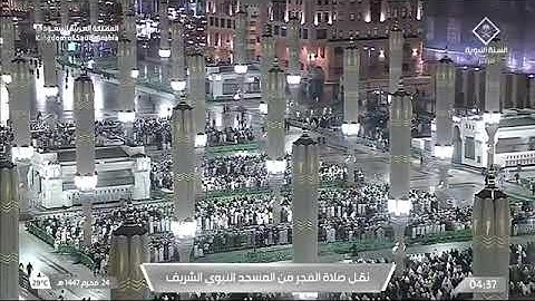 فجرية رائعة لأول سورة فاطر 1-14 للشيخ د. #عبدالله_القرافي السبت 24 محرم 1447هـ #المسجد_النبوي