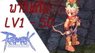 Ragnarok Online(ROEXE) ไปเวลที่ไหนดีนักธนู LV1-50ในหนึ่งวัน ไม่ปั้มไม่เทพทรูเล่นแบบเดิมๆ