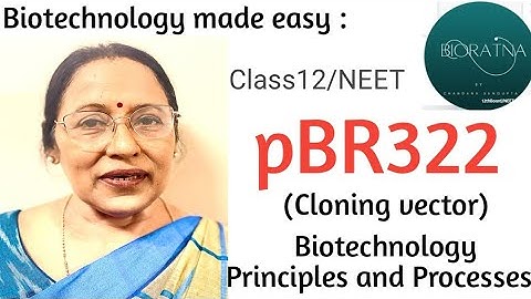 Biotechnology made easy/pBR322/Biotechnology Principles and Processes/Class12/NEET 2023@Bioratna