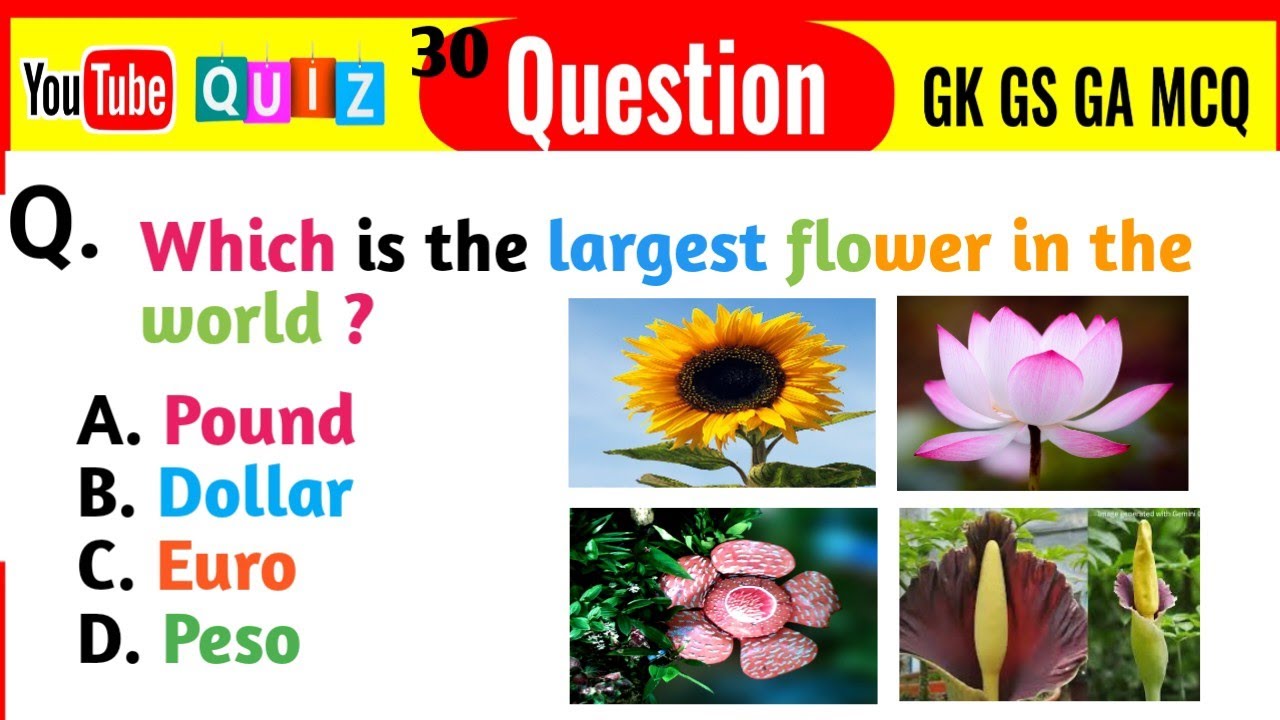 gk-questions-answers-gk-quiz-gk-quiz-gk-guide-stars-facts-gk