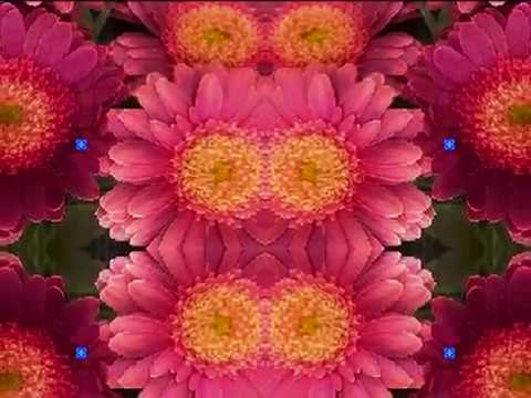 Shades of Blues (by Gene Clark live in Liberty, NY 10/8/1988)