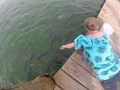 Cuidado ao dar de comer aos peixes