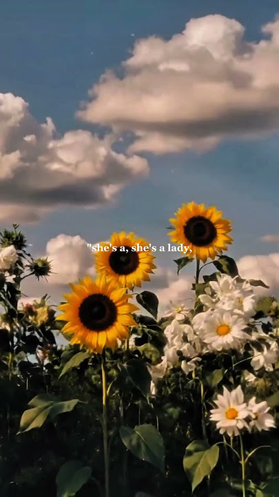line without a hook -  Ricky Montgomery | lyrics | aesthetic | lyrics edit #linewithoutahook