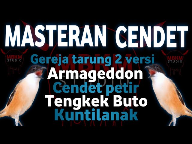 MASTERAN CENDET JUARA.............     gereja tarung,cendet petir,armageddon,tengkek buto,kuntilanak class=