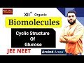 (L-4) Biomolecules || Cyclic Structure of Glucose + Structure || JEE NEET || By Arvind Arora