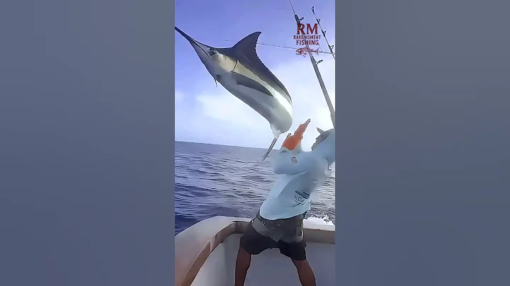 Crazy Scene‼️ Giant Swordfish Attacks Fisherman’s Boat #fishing #swordfish #bigfish #viralvideo