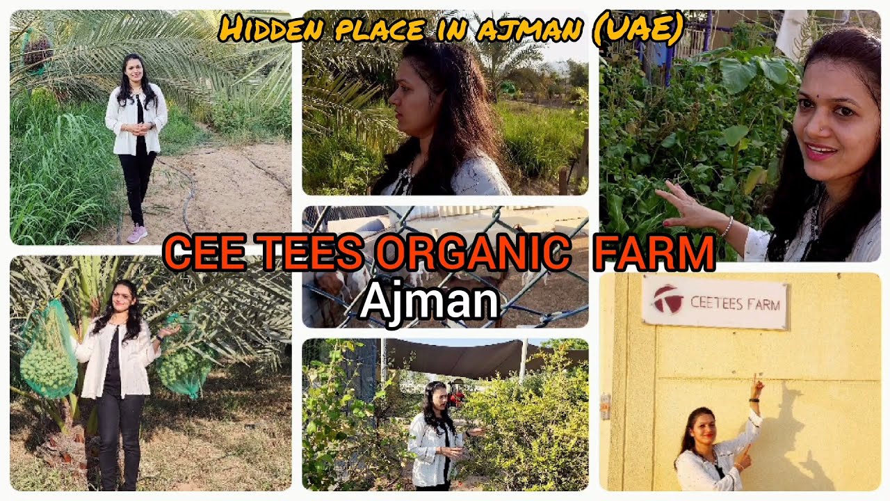 Visiting Organic Farm in UAE// CEE TEES FARM - Ajman//Hidden place in Ajman//kannada vlog/Farm house