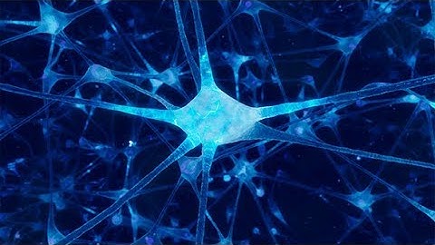 Neuron Network | Motion Graphics - Videohive template