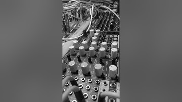 ADDAC 112 LOOPER  with 4ms ensemble osc