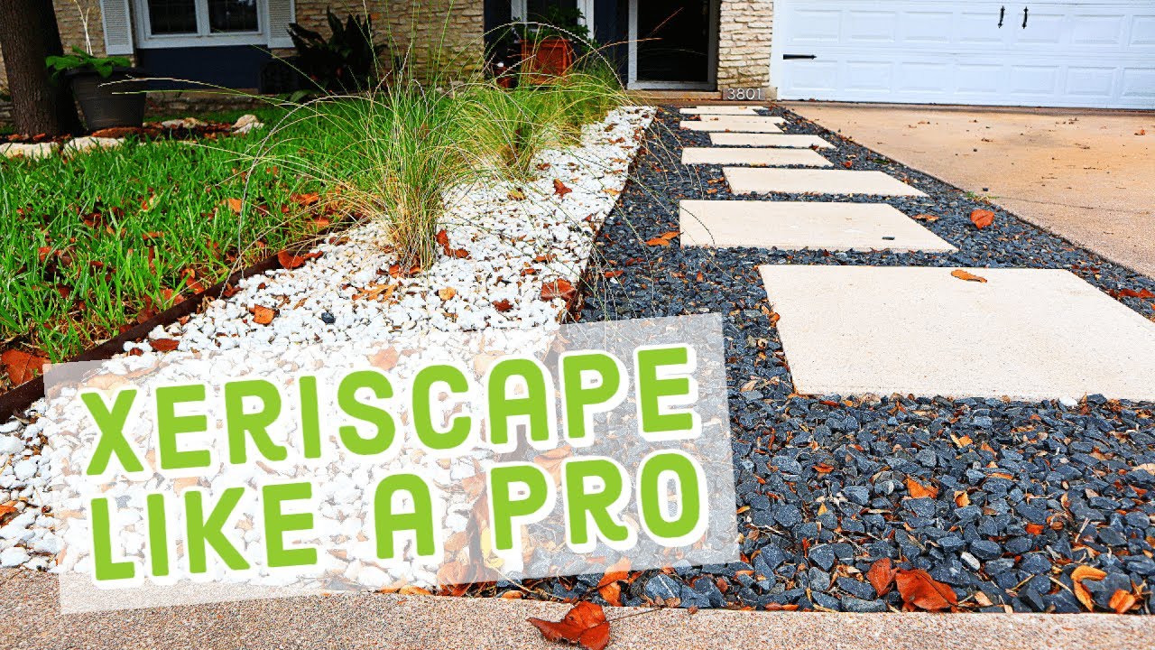 Xeriscape Made Easy - The Only Video You'Ll Need To Watch - Youtube