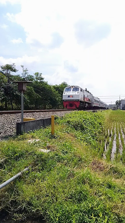 KA Kahuripan melintas di Kediri. #train #keretaapi #kediri #blitar #bandung #musik #ftv
