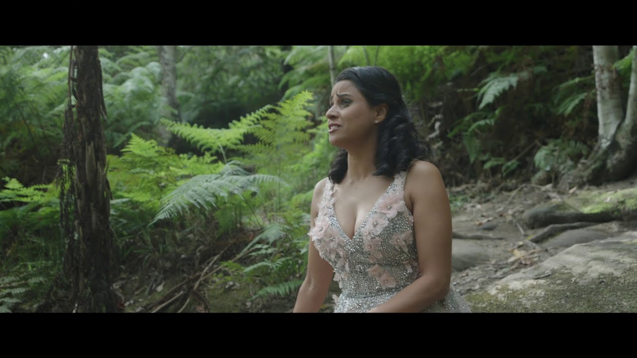 Stacey Alleaume - Clair de Lune by Camille Saint-Saëns