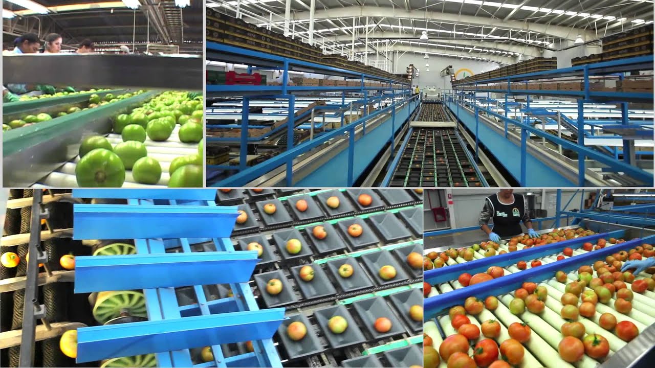 VIDEO CORPORATIVO RENE PRODUCE ESPAÑOL YouTube