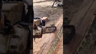precise techniques and skills for splitting coconut wood with a chainsaw #shorts