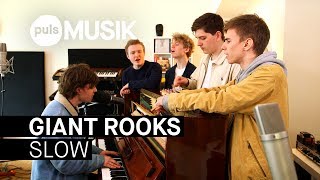 Miniatura de vídeo de "Giant Rooks - Slow (PULS Live Session)"