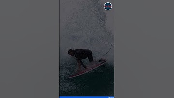 Bị cá mập cắn đứt lìa, chân người lướt sóng trôi vào bờ biển