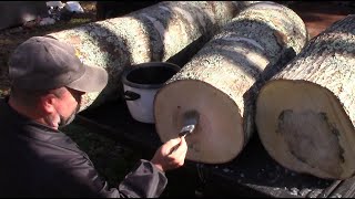 #166 Sealing Maple Logs for Later Processing @StephenOgle