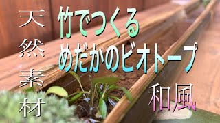メダカの飼育】これぞ和風？天然素材で作る メダカのビオトープ - YouTube