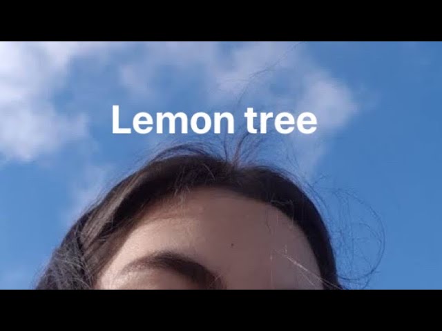 Fools garden - Lemon tree (subtitulado al español) class=