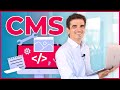 ¿Qué es un CMS? Mejores Plataformas de Contenido