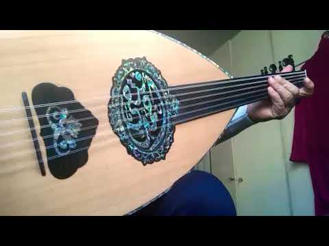 ست الحبايب ياحبيبه -عزف الموسيقار /أحمد فتحي