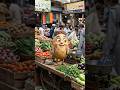 Ai vegetable video #shorts#uploadyoutubevideoQueries Discussed in this video