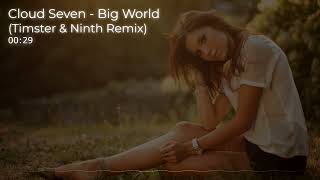 Cloud Seven - Big World (Timster & Ninth Remix)