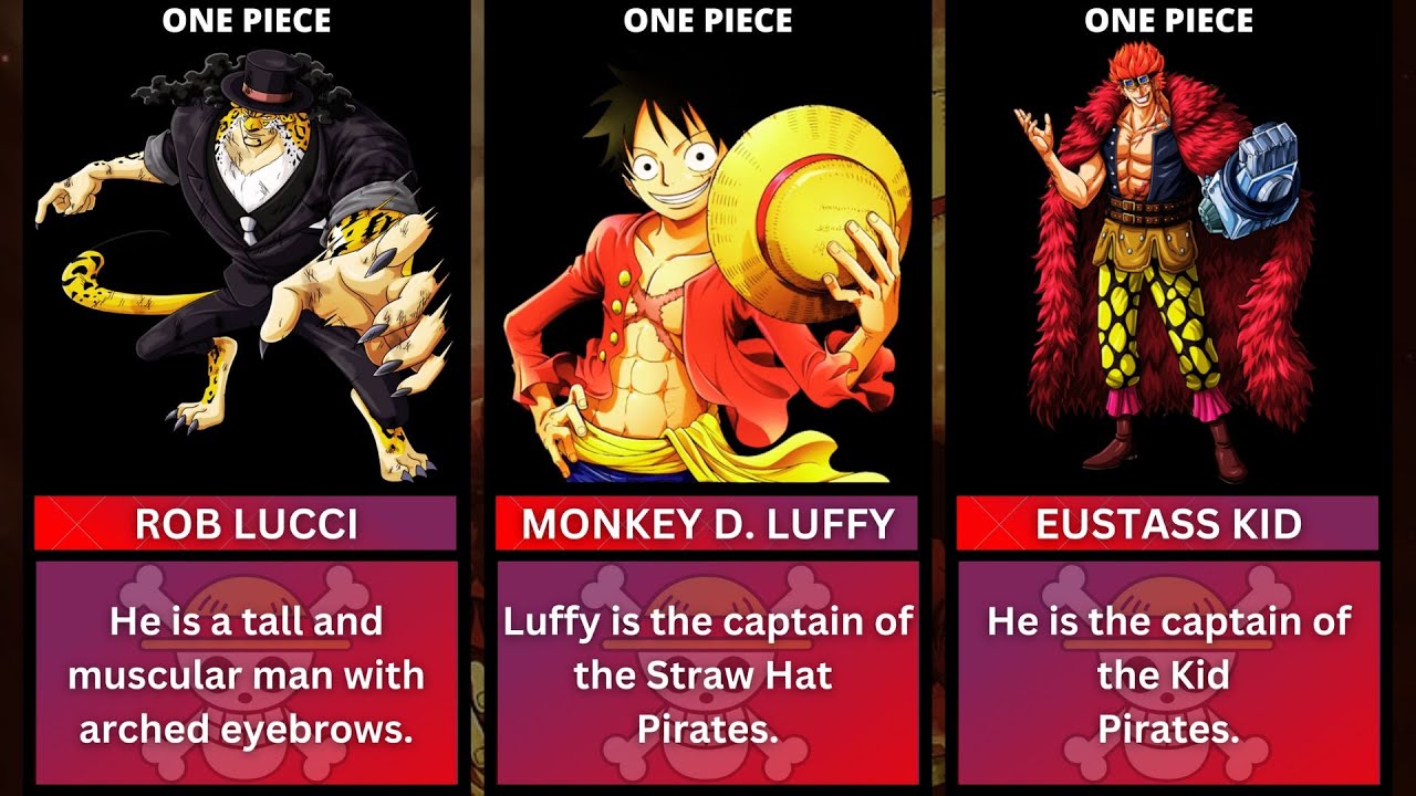 Most Popular One Piece Characters of All Time – Superhero Jacked