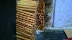 Kue Rokok/Opak Gulung Khas Banyuwangi-Wirokok Rasa Wijen - Durasi: 6.16. 