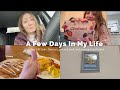 Vlog: A Few Days In My Life (Another CAT scan, Denny's, grocery haul, and picking out a frame)