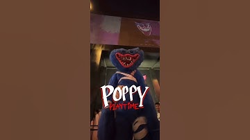 Poppy Playtime Is Now In Real Life…