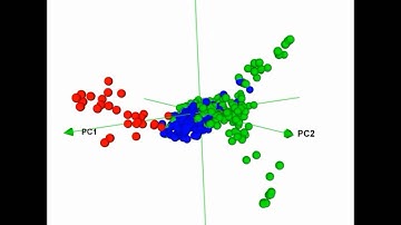 The Development of Quality Control Genotyping Approaches: A Case Study Using Elite Maize Lines