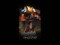 رفت آن سوار کولی با خود تو را نبرده رفت آن سوار کولی با خود تو را نبرده