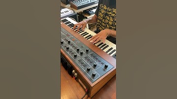 POLY POWER ⚡️ 1981 SCI Prophet-5