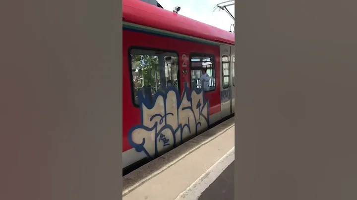 Frankfurt am Main #germany #train