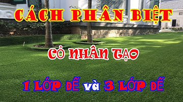 Thảm Cỏ Nhân Tạo | Cách Phân Biệt Thảm Cỏ Nhân Tạo 1 LỚP ĐẾ và 3 LỚP ĐẾ
