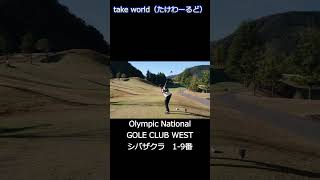 Olympic National GOLF CLUB WEST　シバザクラ【C鉢さん編】　#shorts #ゴルフ #ゴルフスイング
