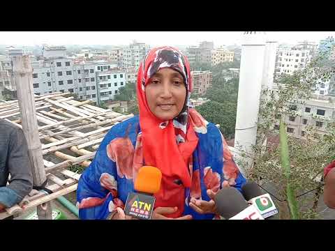 ভিডিও: সব গাছ কেটে ফেললে কী হয়?